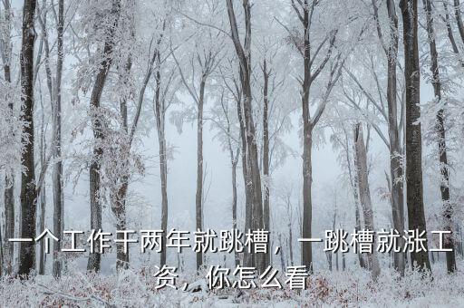 一個工作干兩年就跳槽，一跳槽就漲工資，你怎么看