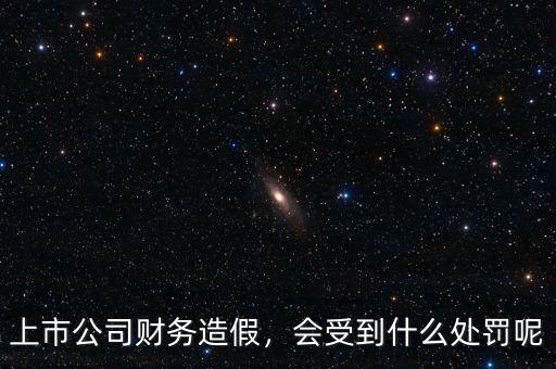 上市公司財務(wù)造假，會受到什么處罰呢