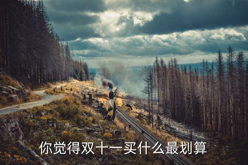 雙十一買什么股票,你覺(jué)得雙十一買什么最劃算