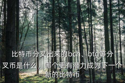 比特幣分叉出來的bch、btg等分叉幣是什么，哪個更有潛力成為下一個新的比特幣