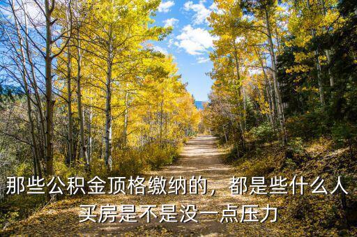 那些公積金頂格繳納的，都是些什么人買(mǎi)房是不是沒(méi)一點(diǎn)壓力