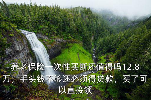 養(yǎng)老保險(xiǎn)一次性買斷還值得嗎12.8萬(wàn)，手頭錢不夠還必須得貸款，買了可以直接領(lǐng)