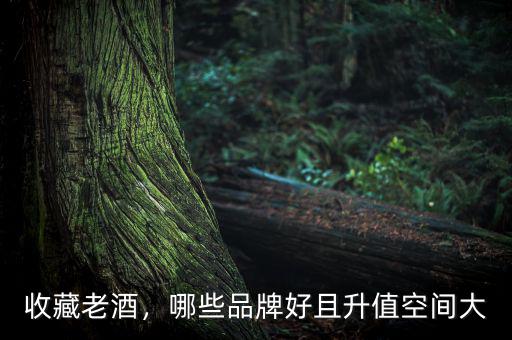 收藏老酒，哪些品牌好且升值空間大