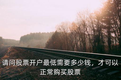 請(qǐng)問股票開戶最低需要多少錢，才可以正常購(gòu)買股票