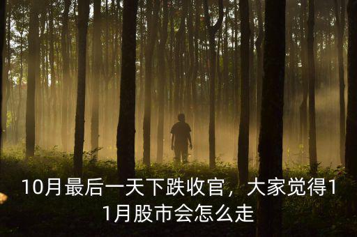 10月最后一天下跌收官，大家覺(jué)得11月股市會(huì)怎么走