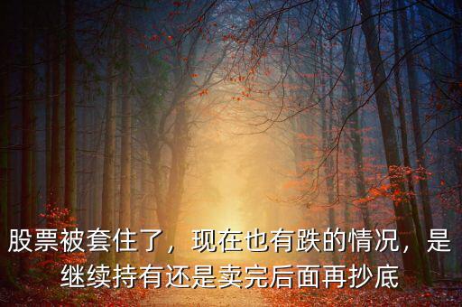 股票被套住了，現(xiàn)在也有跌的情況，是繼續(xù)持有還是賣完后面再抄底