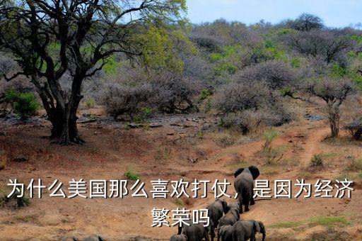 為什么美國那么喜歡打仗，是因為經濟繁榮嗎