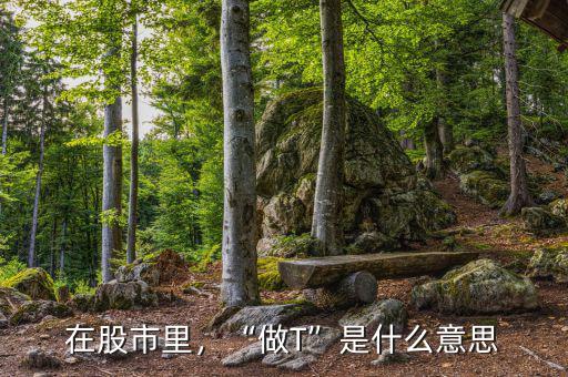 在股市里，“做T”是什么意思