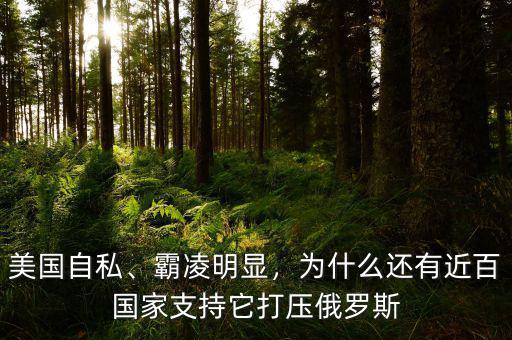美國自私、霸凌明顯，為什么還有近百國家支持它打壓俄羅斯