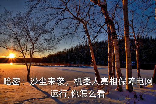哈密：沙塵來襲，機(jī)器人亮相保障電網(wǎng)運(yùn)行,你怎么看