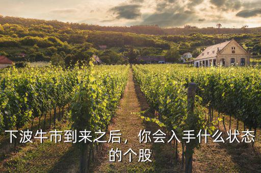 牛市過后買什么股,下波牛市到來(lái)之后