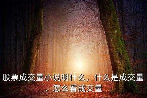 股票成交量小說(shuō)明什么，什么是成交量，怎么看成交量
