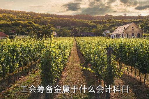 工會(huì)籌備金是什么，工會(huì)籌備金屬于什么會(huì)計(jì)科目