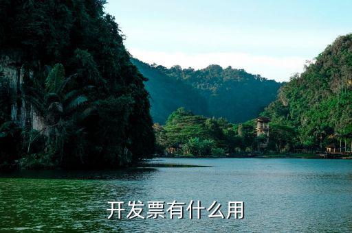 開發(fā)票是干什么用的，開發(fā)票有什么用