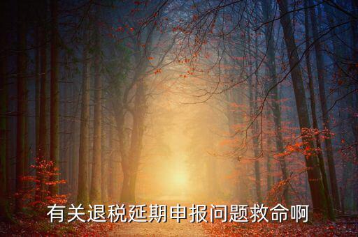 辦理退稅延期需要什么材料，公司出口報(bào)關(guān)單馬上就過(guò)三個(gè)月了到稅務(wù)如何辦理退稅延長(zhǎng)期具