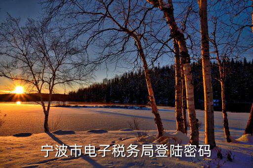 電子稅務默認登錄密碼是什么，稅務局網(wǎng)站的登入賬戶初始密碼是什么
