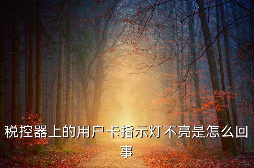 稅控機用戶卡是什么，稅控器上的用戶卡指示燈不亮是怎么回事