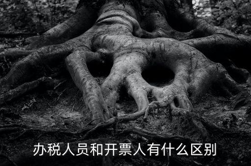 辦稅人員是什么，辦稅人員和開票人有什么區(qū)別