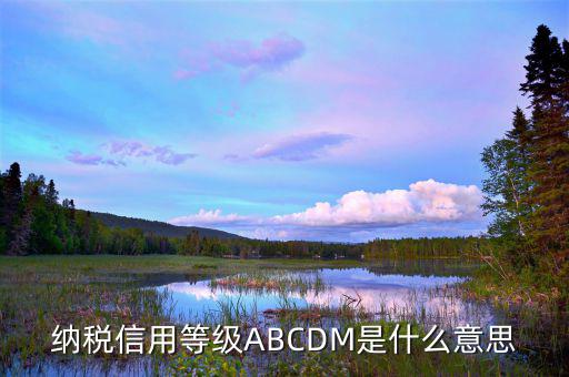 江蘇國(guó)稅信用評(píng)級(jí)是什么，納稅信用等級(jí)ABCDM是什么意思