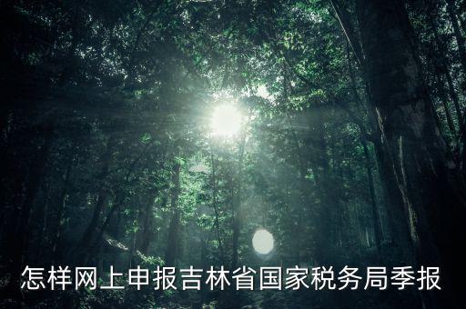 吉林省用什么報稅系統(tǒng)，吉林省的報稅系統(tǒng)如何使用