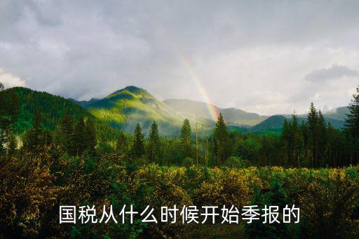 國稅什么時間申報，國稅從什么時候開始季報的