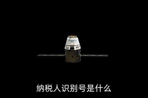 海寧市國家稅務(wù)局認別號是什么，納稅人識別號是什么