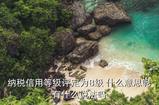 納稅信用等級(jí)評(píng)定為B級(jí) 什么意思呢有什么說法嗎