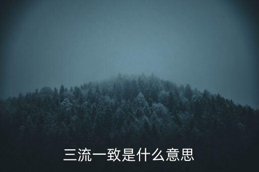 發(fā)票 流向一致是什么意思，發(fā)票四流一致是哪四流