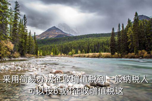 什么是簡(jiǎn)易征收辦法征收增值稅，采用簡(jiǎn)易辦法征收增值稅到一般納稅人可以按6或4征收增值稅這