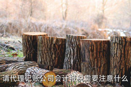 給純地稅做賬注意什么，繳的地稅怎么做帳