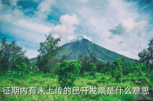 申報(bào)沒(méi)上傳是什么意思，我在財(cái)務(wù)申報(bào)時(shí)沒(méi)上傳第二天可以不傳嗎