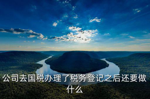國稅辦完之后辦什么，公司去國稅辦理了稅務(wù)登記之后還要做什么