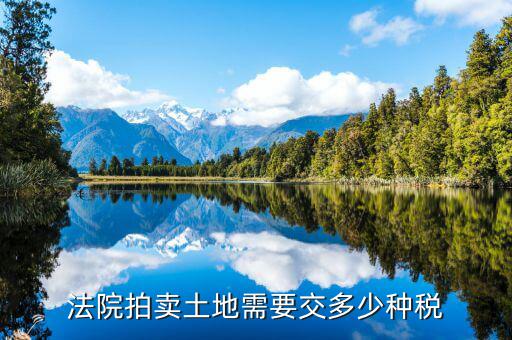 土地拍賣要交什么稅，劃撥土地 拍賣 繳什么稅