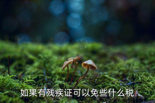 殘疾人免征什么稅，如果有殘疾證可以免些什么稅