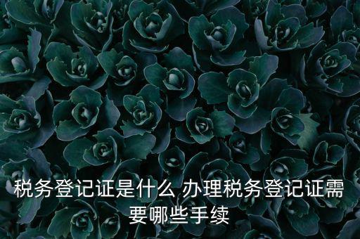地稅局登記是什么，地稅辦理稅務(wù)登記需要哪些資料