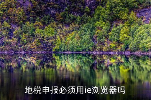 用什么瀏覽器申報(bào)山東地稅，地稅申報(bào)必須用ie瀏覽器嗎