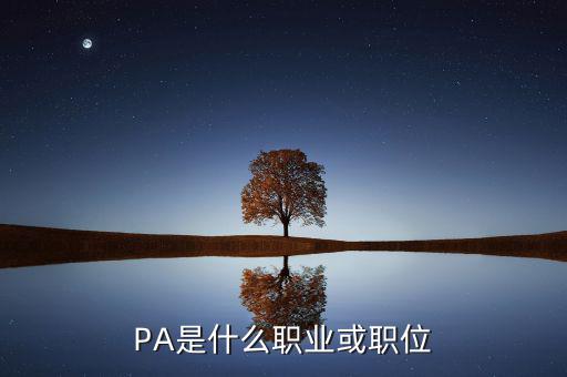 河南省國稅局陳紅偉什么職務(wù)，PA是什么職業(yè)或職位