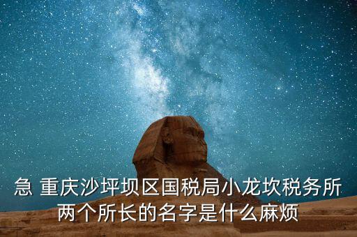 稅務(wù)所所長什么級別，地稅局基層稅務(wù)所屬什么層級