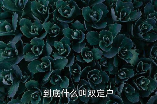 什么是雙定戶，雙翅一一翻雙眉什么雙眼什么
