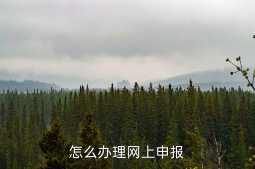航天數(shù)字證書是什么，機(jī)打發(fā)票上顯示輸入正確的數(shù)字證書怎么回事