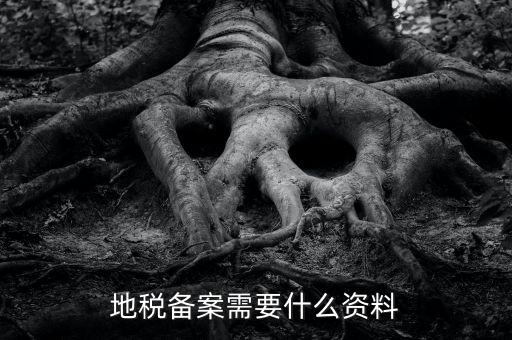 國地稅備案需要什么資料，地稅備案需要什么資料