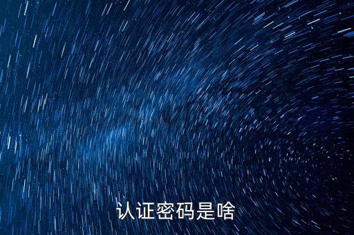 網(wǎng)上認(rèn)證的密碼是什么意思啊，市民身份證手機(jī)認(rèn)證服務(wù)密碼是什么意思在線等急