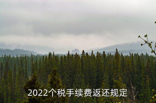 個(gè)稅返手續(xù)費(fèi)什么時(shí)間，退個(gè)稅手續(xù)費(fèi)2022年新規(guī)定