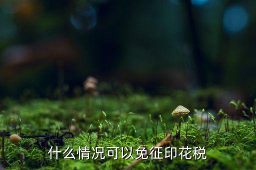 印花稅免稅是什么政策規(guī)定，什么情況可以免征印花稅
