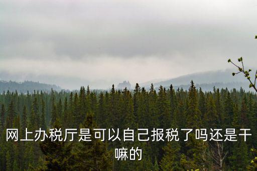 云廳報(bào)稅是什么意思，網(wǎng)上辦稅廳是可以自己報(bào)稅了嗎還是干嘛的