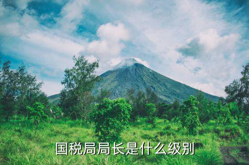 長(zhǎng)春市國(guó)稅局局長(zhǎng)什么級(jí)別，地級(jí)市的國(guó)稅局局長(zhǎng)是什么干部