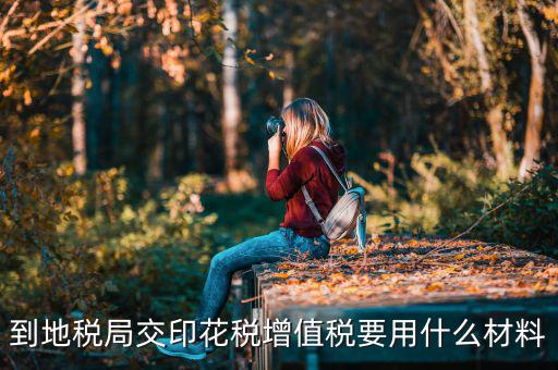 賬簿印花稅去地稅買要帶什么資料，購買印花稅帶什么資料