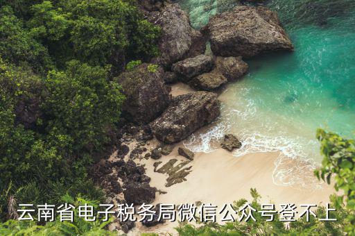 為什么電子稅務登錄不上，云南省電子稅務局微信公眾號登不上