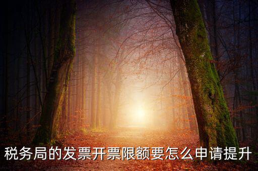 提高開票限額申請需要什么資料，去稅務(wù)局增大公司的開票限額需要帶些什么我公司第一次開票去申