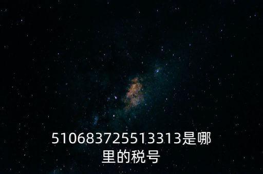 陜西省地方的稅號(hào)開頭是什么，510683725513313是哪里的稅號(hào)